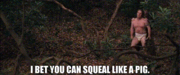1756265935826.gif