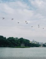 IMG_1667.jpeg