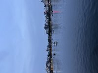 IMG_1831.jpeg