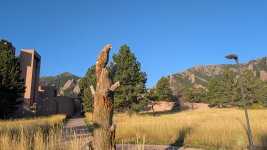 PXL_20250831_132216105.jpg