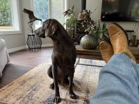 IMG_2563.jpeg