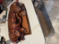 IMG_2921.jpeg