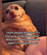 1756757623965.png