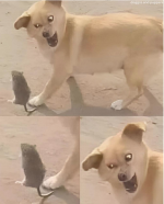1756907453122.png
