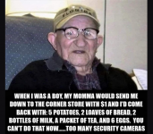 1757083708709.png