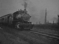 IMG_2247.gif