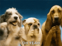 1757168967615.gif