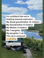 1757169702916.png