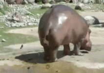 1757205573109.gif