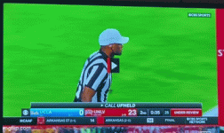 IMG_3681.gif