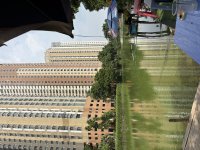 IMG_2394.jpeg