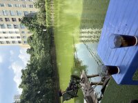 IMG_2391.jpeg