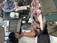 IMG_2399.jpeg