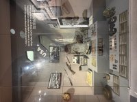 IMG_2494.jpeg