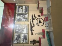 IMG_2495.jpeg