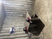 IMG_2500.jpeg