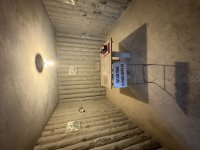 IMG_2504.jpeg