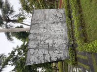 IMG_2506.jpeg
