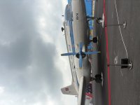 IMG_2608.jpeg