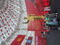 IMG_2617.jpeg