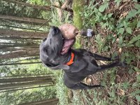 IMG_2728.jpeg