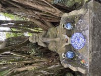 IMG_2744.jpeg