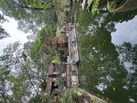 IMG_2745.jpeg