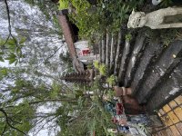 IMG_2740.jpeg