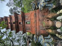 IMG_2739.jpeg