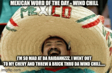 IMG_3539.gif