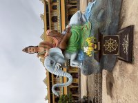 IMG_3196.jpeg