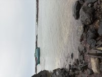 IMG_3151.jpeg