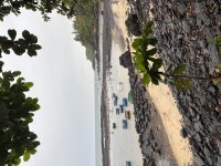 IMG_3153.jpeg