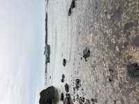 IMG_3149.jpeg