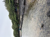 IMG_3147.jpeg
