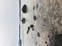 IMG_3146.jpeg
