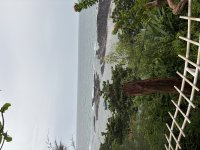 IMG_3144.jpeg