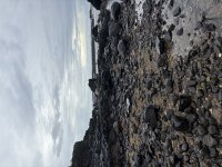 IMG_3148.jpeg