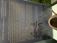 IMG_3071.jpeg