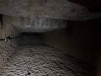 IMG_3137.jpeg