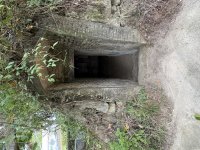 IMG_3090.jpeg