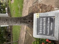 IMG_3101.jpeg