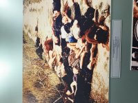 IMG_3078.jpeg