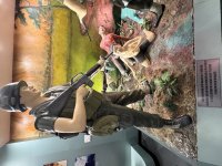 IMG_3075.jpeg