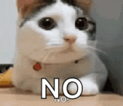 IMG_3863.gif