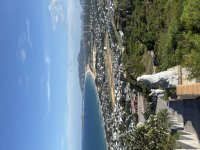 IMG_3520.jpeg