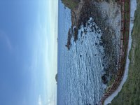 IMG_3613.jpeg