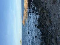 IMG_3602.jpeg