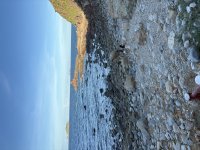 IMG_3599.jpeg