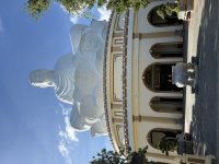 IMG_3521.jpeg